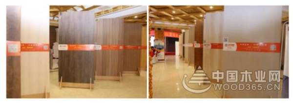 热烈祝贺平安树品牌舒宜家系列“春”新品发布会圆满召开！