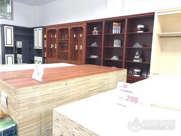 鑫鱼板材：重新定位再出发 以品质打造核心竞争力