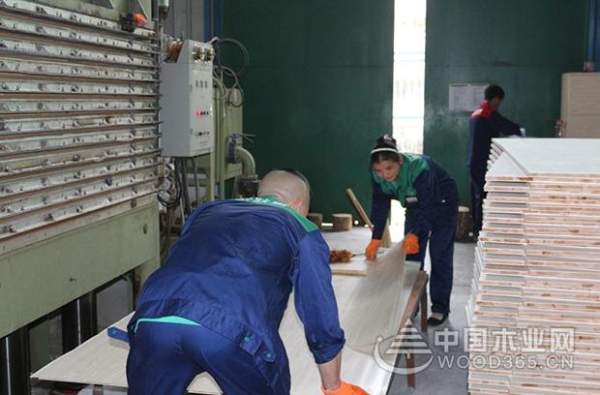 生态板厂家：淡季不淡，壮象产销两旺！
