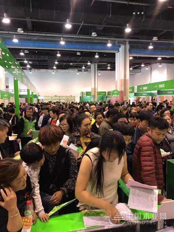 迎战双十一，兔宝宝环保行青岛站火爆来袭！
