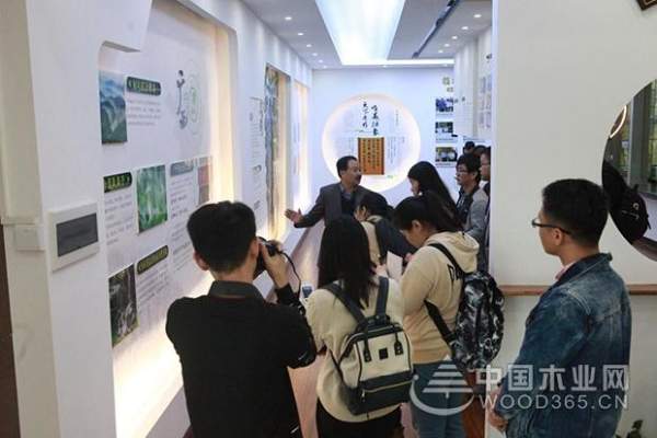 发展香杉产业功不可没 壮象引多家媒体竞相报道