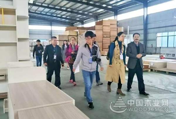 发展香杉产业功不可没 壮象引多家媒体竞相报道