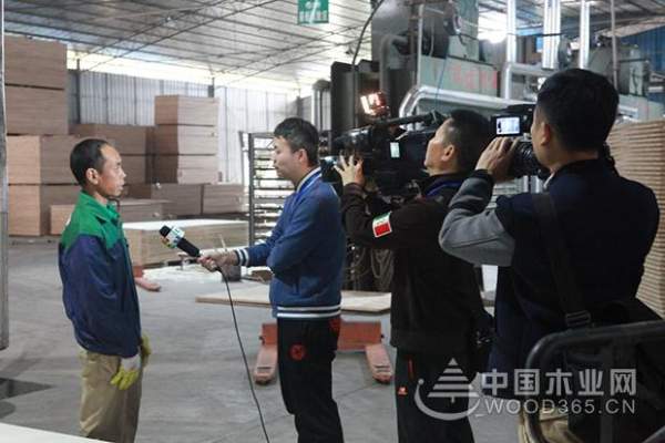 发展香杉产业功不可没 壮象引多家媒体竞相报道