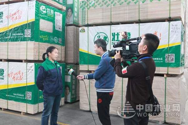发展香杉产业功不可没 壮象引多家媒体竞相报道