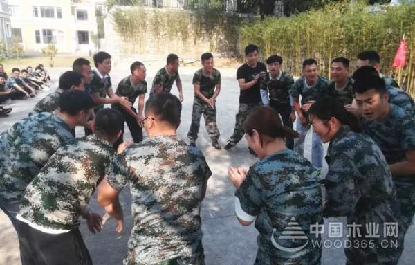 凝心聚力，勇攀高峰——千山集团户外拓展训练圆满结束！