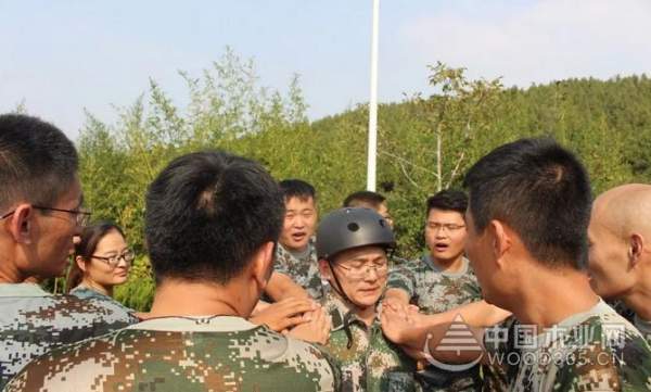 凝心聚力，勇攀高峰——千山集团户外拓展训练圆满结束！