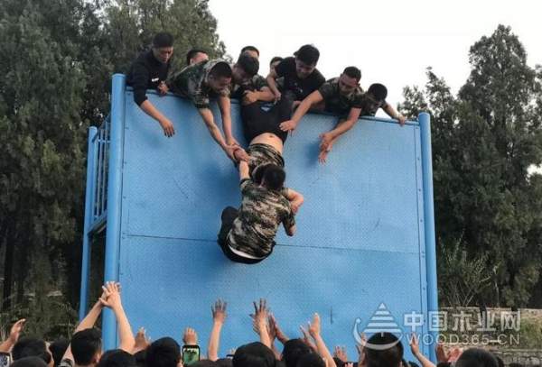 凝心聚力，勇攀高峰——千山集团户外拓展训练圆满结束！