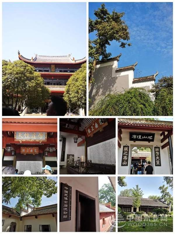雪宝团队游学成长记——【岳麓书院】之行