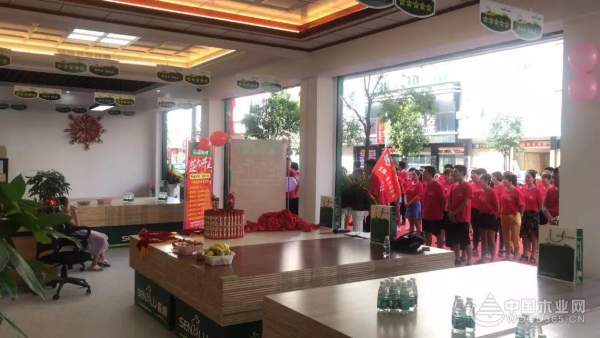 森鹿东阳横店专卖店盛大开业