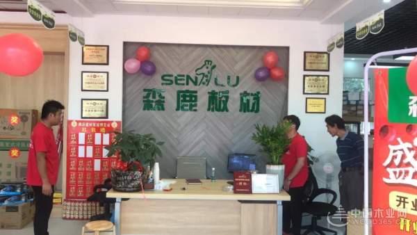 森鹿东阳横店专卖店盛大开业