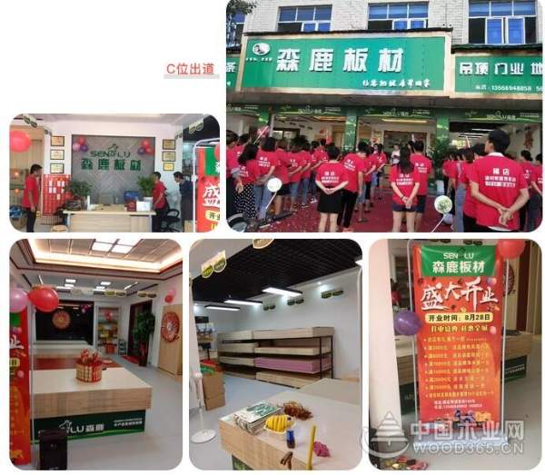 森鹿东阳横店专卖店盛大开业
