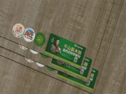 鉴赏|院落风情——步入新式意味的院落文化