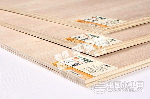 情满中秋 平安树与您共携手
