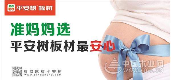 情满中秋 平安树与您共携手