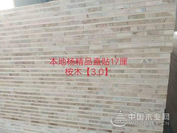 变“下行压力”为“逆势而上”，鹏森缘开启河南十六区全面招商！