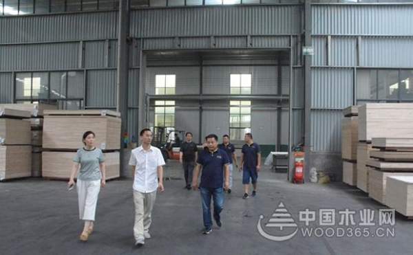 热烈祝贺YOUTH优饰通过ISO9001:2015国际质量管理体系认证