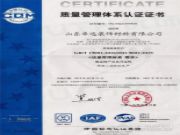 热烈祝贺YOUTH优饰通过ISO9001:2015国际质量管理体系认证