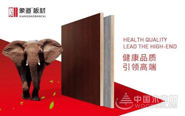 惊艳木博会 象道板材签约多家区域加盟商！