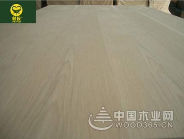 鹤友强势参展临沂木博会 吸粉无数