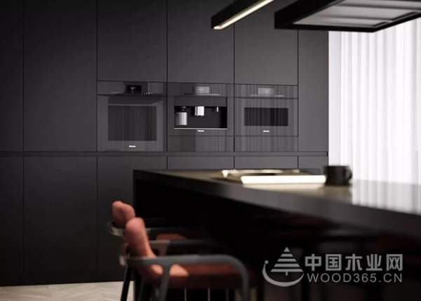 鉴赏|纯黑小皮纹——我虽黝黑，却是俊美