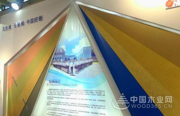 汇精品系列，呈品牌优势——怡黄木业现场直击 FMC Premium 2018