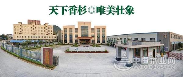 从壮象转型发展看中国林业产业供给侧改革