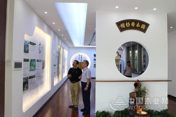 从壮象转型发展看中国林业产业供给侧改革
