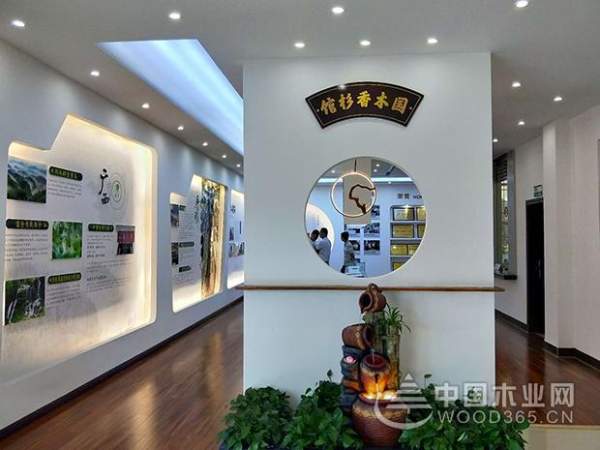 从壮象转型发展看中国林业产业供给侧改革