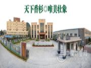 从壮象转型发展看中国林业产业供给侧改革