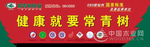 常青树：立足品牌发展，打造卓越品质
