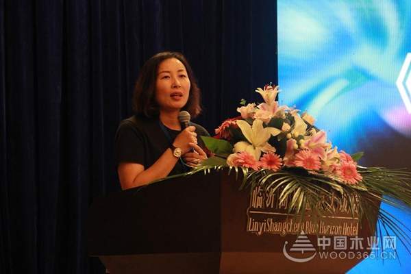 “创新融合，共赢未来”2018年莫干山板材新品发布会圆满成功