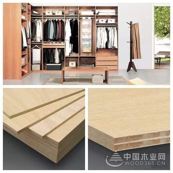 兔宝宝荣登“综合十大板材品牌”荣誉榜