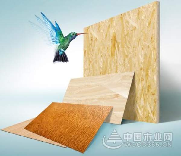 兔宝宝荣登“综合十大板材品牌”荣誉榜