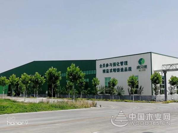 连夺两项十大品牌荣誉，康贝德板材志在领航市场！