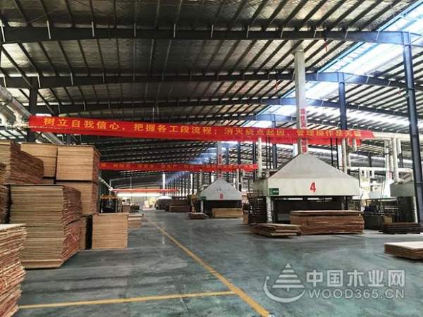 连夺两项十大品牌荣誉，康贝德板材志在领航市场！