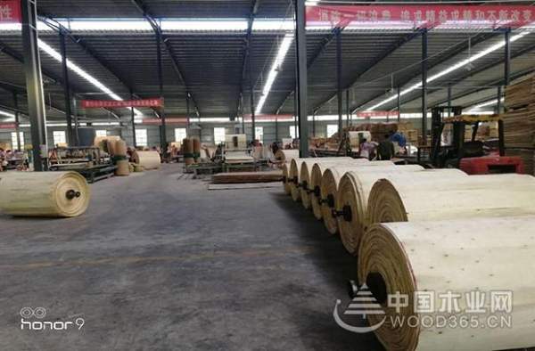 连夺两项十大品牌荣誉，康贝德板材志在领航市场！