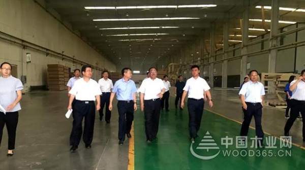 盘锦市市长汤方栋携政府各部门领导来积葭板业视察！