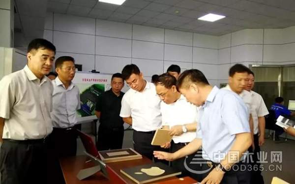 盘锦市市长汤方栋携政府各部门领导来积葭板业视察！