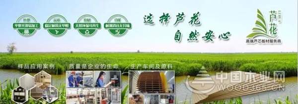 盘锦市市长汤方栋携政府各部门领导来积葭板业视察！
