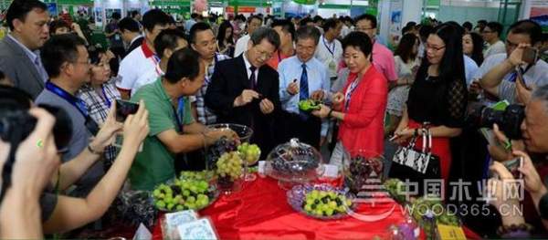 玉麒木业亮相深圳绿博会 大放异彩！