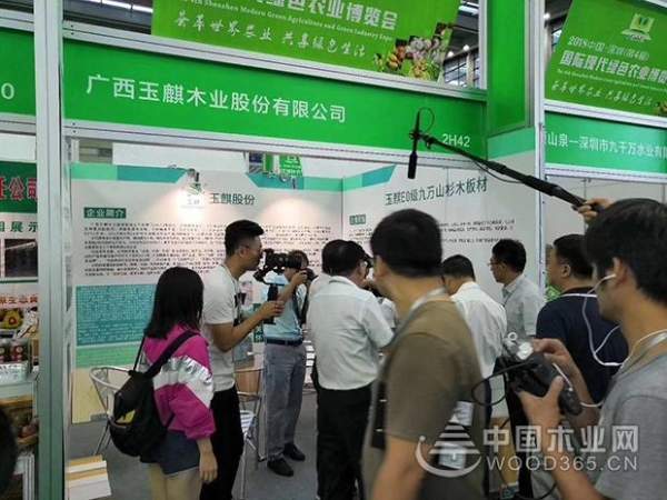 玉麒木业亮相深圳绿博会 大放异彩！