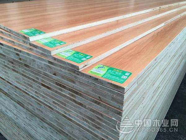 当仁不让！莫干山实力荣获“综合十大品牌”等六项殊荣！