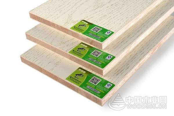 当仁不让！莫干山实力荣获“综合十大品牌”等六项殊荣！