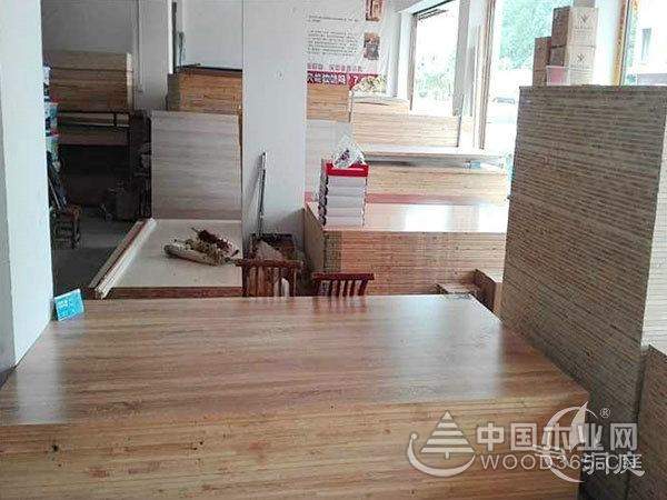 用心关爱全力以赴，洞庭木业荣膺“十大消费者信赖板材品牌”
