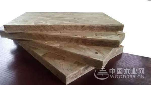 后起之秀 PULA浦丽桉荣获“刨花板十大品牌”荣誉