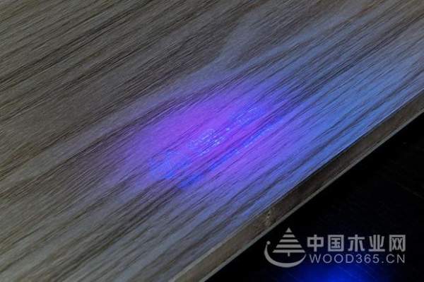 精益求精，千原厚积薄发勇夺“生态板十大供应商”