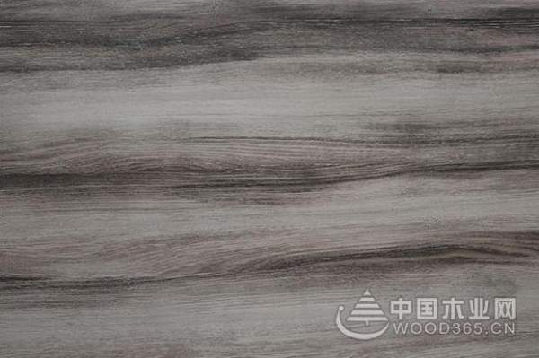 精益求精，千原厚积薄发勇夺“生态板十大供应商”