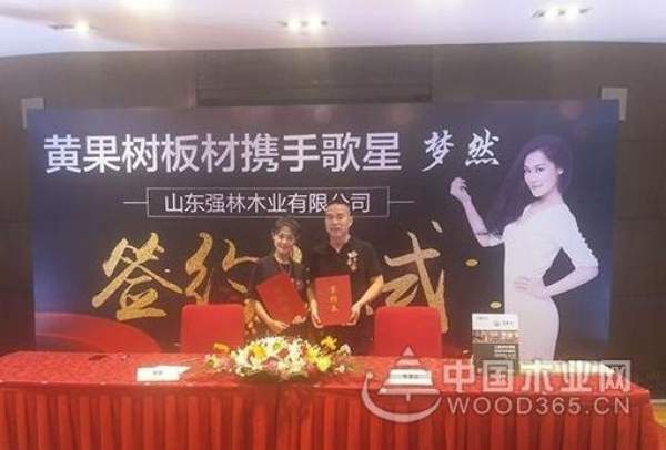 未来可期 黄果树板材喜获“十大潜力板材品牌”荣誉