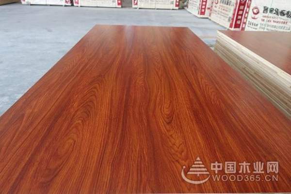 厚积薄发，砥砺前行|客家缘获颁“十大人气功能型板材品牌”