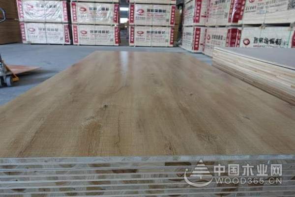 厚积薄发，砥砺前行|客家缘获颁“十大人气功能型板材品牌”